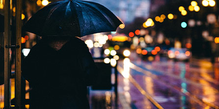 九游网页版入口-中小学体育健康促进政策执行情况分析，中小学加强体育