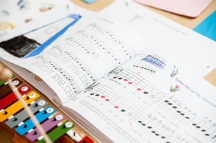 九游网页版入口-中小学体育健康促进政策执行情况分析,中小学加强体育 第3张 九游网页版入口-中小学体育健康促进政策执行情况分析,中小学加强体育 第3张