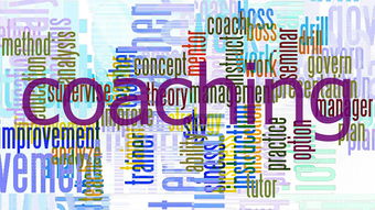 九游官网入口地址-中小学体育教师专业能力提升策略，中小学体育教师专业能力提升策略研究