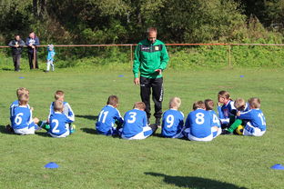 九游娱乐下载-中小学体育教师专业能力提升路径探讨与实践，中小学体育教师应具备哪些核心素养